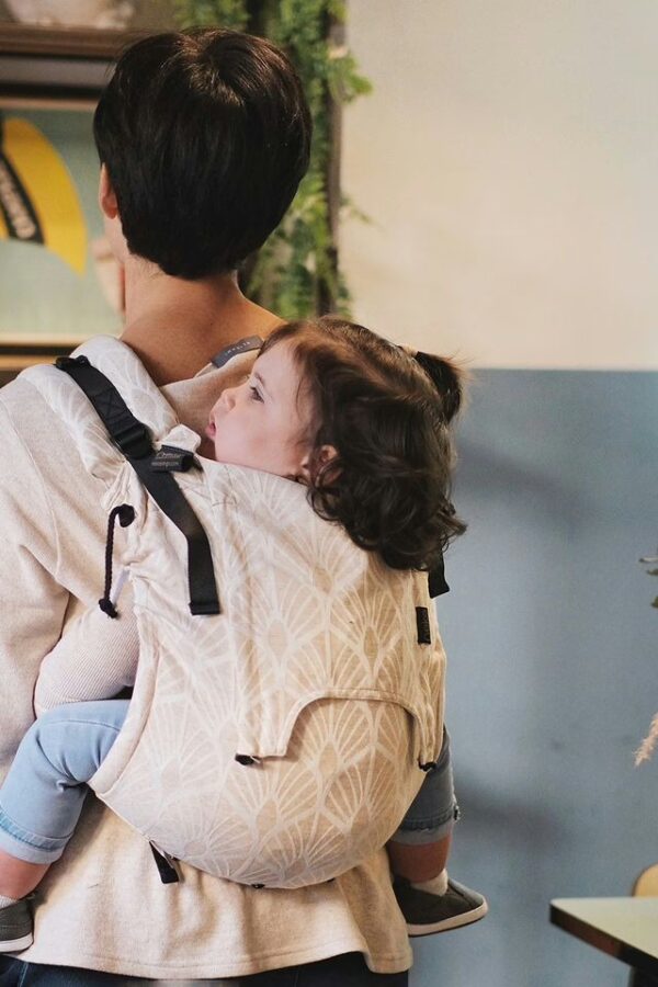 Buckle Carriers>Onbuhimo Buy Now