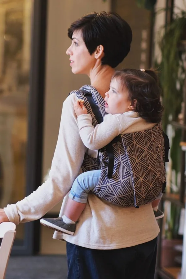 Cart Neko Onbuhimo Toddler Size - Elfida